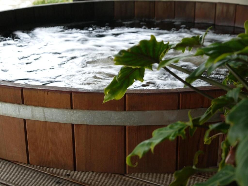 Okiwa Bay Lodge Пиктън Екстериор снимка